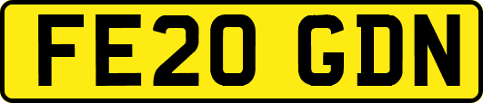 FE20GDN