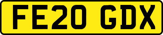 FE20GDX