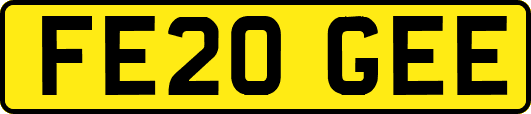 FE20GEE