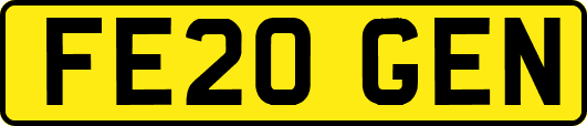 FE20GEN