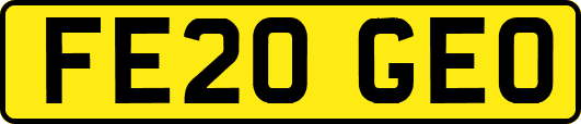 FE20GEO