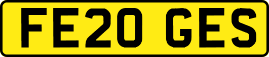 FE20GES