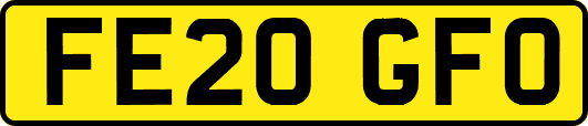 FE20GFO