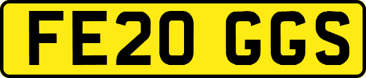 FE20GGS