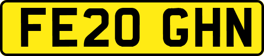 FE20GHN