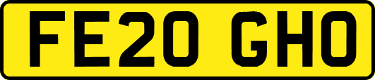 FE20GHO