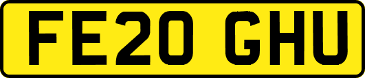 FE20GHU