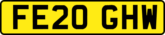 FE20GHW