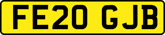 FE20GJB