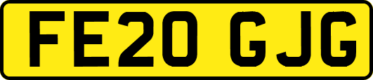 FE20GJG