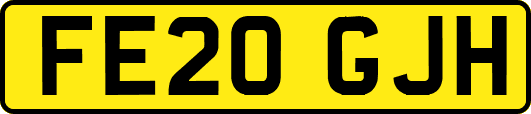 FE20GJH