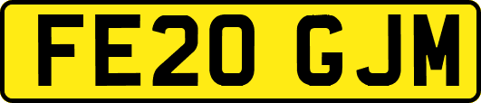 FE20GJM