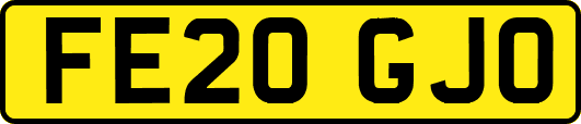 FE20GJO