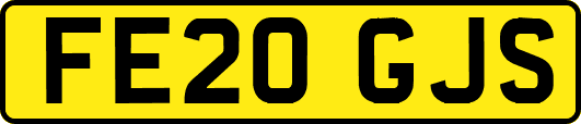 FE20GJS