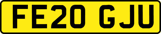 FE20GJU