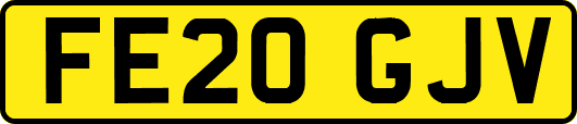 FE20GJV