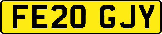 FE20GJY