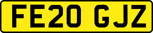 FE20GJZ