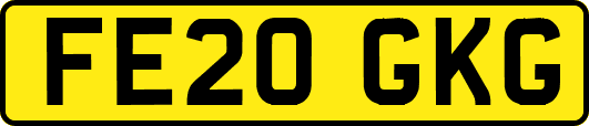 FE20GKG