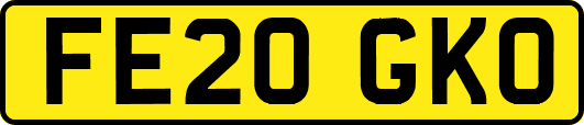 FE20GKO