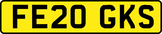 FE20GKS