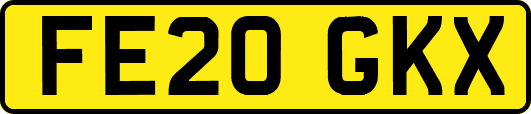 FE20GKX