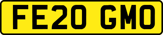 FE20GMO