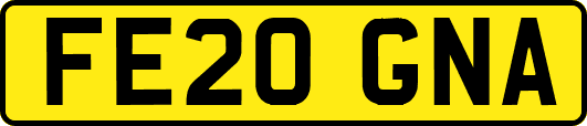 FE20GNA