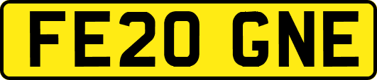 FE20GNE