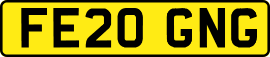 FE20GNG