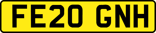 FE20GNH
