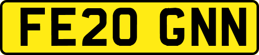 FE20GNN