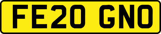 FE20GNO