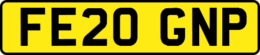 FE20GNP