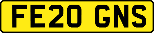 FE20GNS
