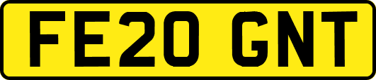 FE20GNT
