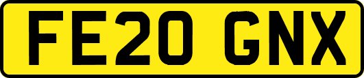 FE20GNX