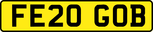 FE20GOB