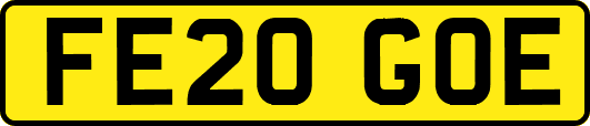 FE20GOE