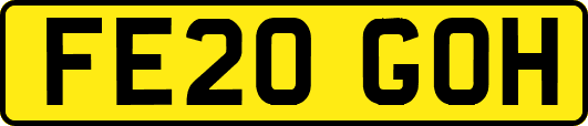 FE20GOH