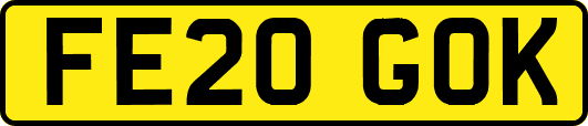 FE20GOK