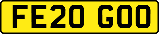 FE20GOO