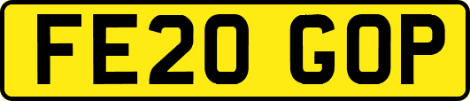 FE20GOP
