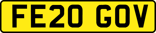 FE20GOV