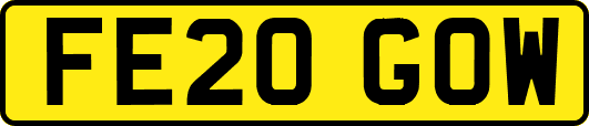 FE20GOW