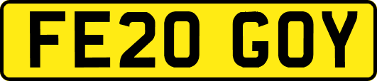 FE20GOY