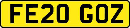 FE20GOZ