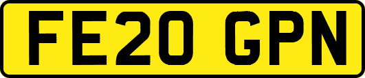 FE20GPN