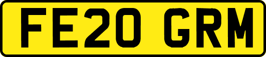 FE20GRM