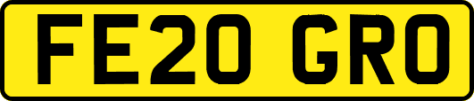 FE20GRO